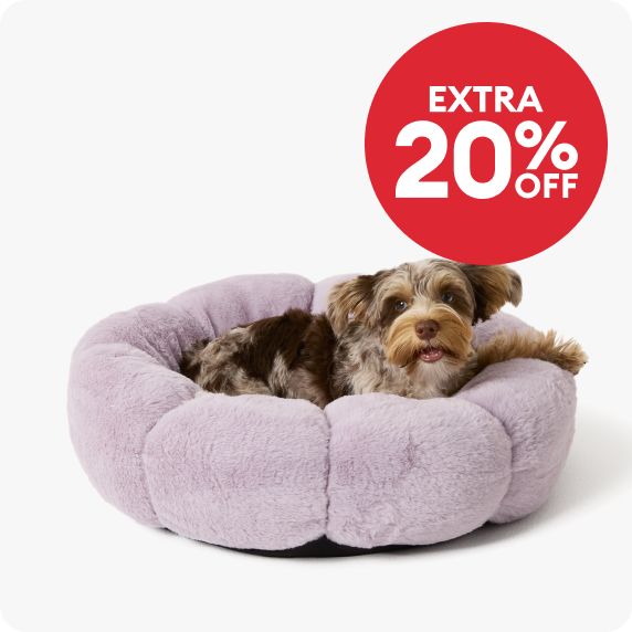 Extra 20% off callout & a dog laying on a plush bed