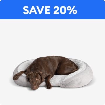 Save 20% callout & a dog in a bed
