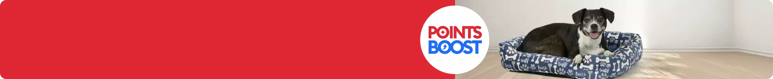 Points Boost callout and a dog laying in a bed