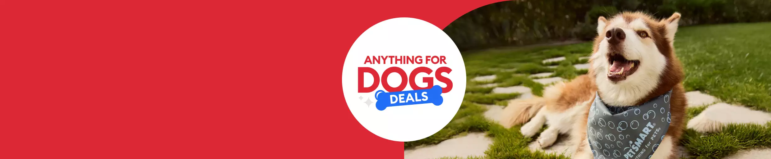 Anything for Dogs Deals with dog outside wearing PetSmart bandana