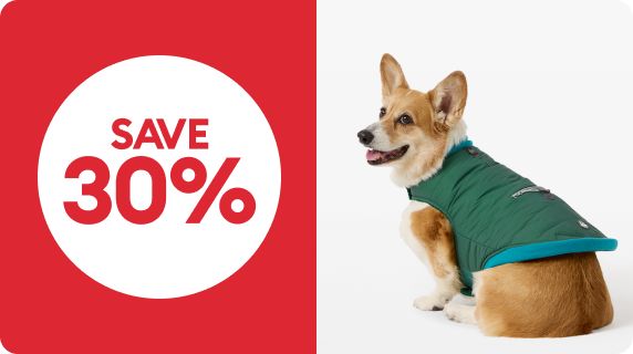 Save 30% with Corgi wearing puffy dog coat