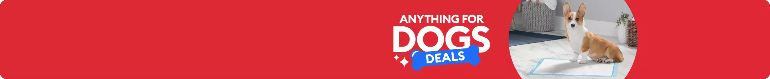 Anything for dogs deals with corgi on disposable dog pad