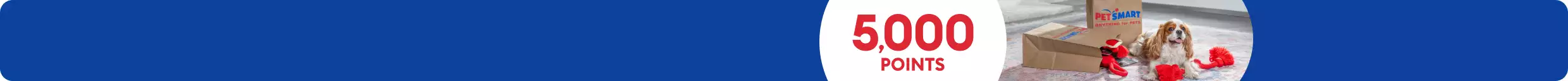 King charles spaniel with PetSmart bags & toys