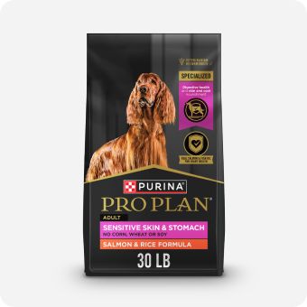 Bag of Purina Pro Plan dog food