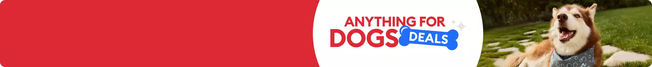 Anything for Dogs Deals with brown & white dog wearing bandana