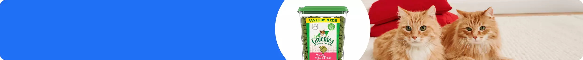 Greenies dental treats with 2 orange long-haired cats