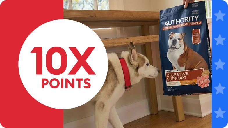 10X points callout, dog wearing a red collar & a bag of Authority dog food