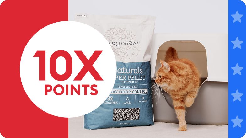 10X points callout, an orange cat stepping out of a litter box & a bag of ExquisiCat litter