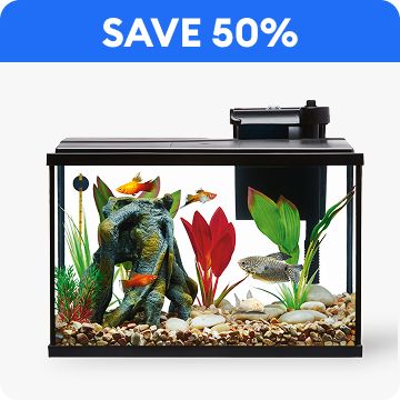 Save 50% text & an aquarium with fish