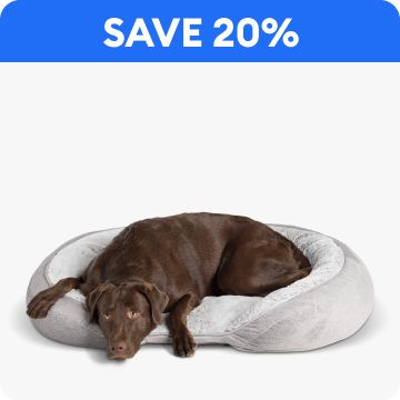 Save 20% text & a dog laying in a bed