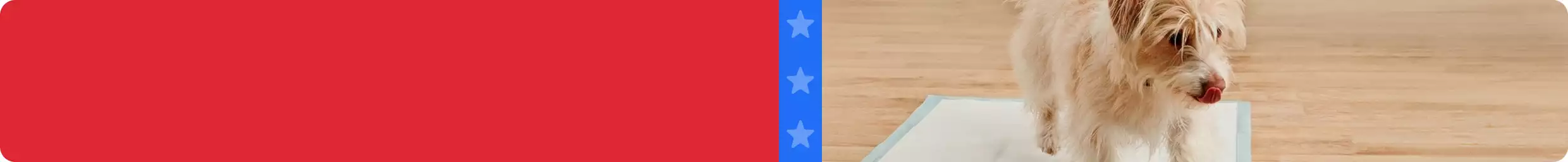 Dog standing on a disposable dog pad