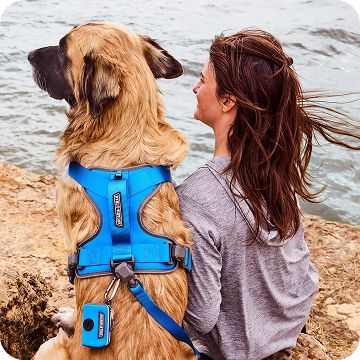 A woman sitting next to the water with her dog who's wearing a blue harness