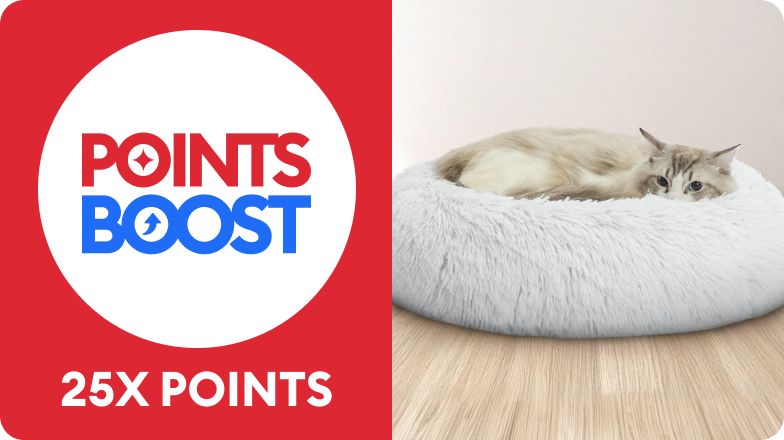 Points Boost lockup, 25X points callout & a cat laying on a bed