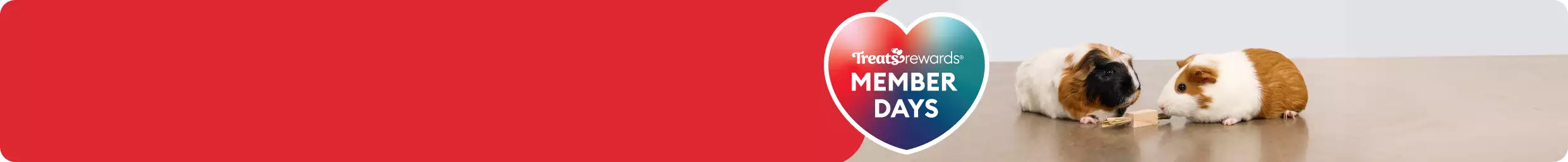Heart-shaped callout with the text 'Treats Rewards Member Days' & two guinea pigs sniffing a treat