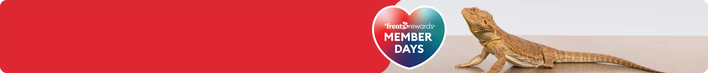 Heart-shaped callout with the text 'Treats Rewards Member Days' & a bearded dragon