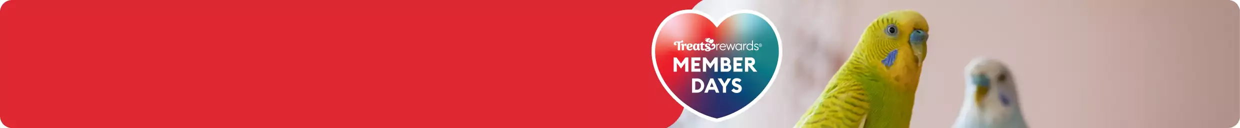 Heart-shaped callout with the text 'Treats Rewards Member Days' & two colorful birds
