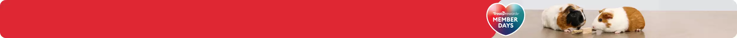 Heart-shaped callout with the text 'Treats Rewards Member Days' & two guinea pigs sniffing a treat