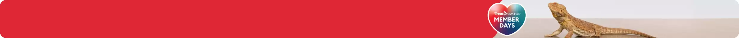 Heart-shaped callout with the text 'Treats Rewards Member Days' & a bearded dragon