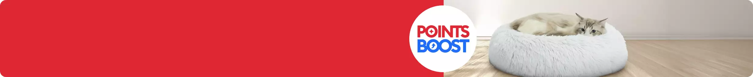 Points Boost lockup & a cat laying on a bed