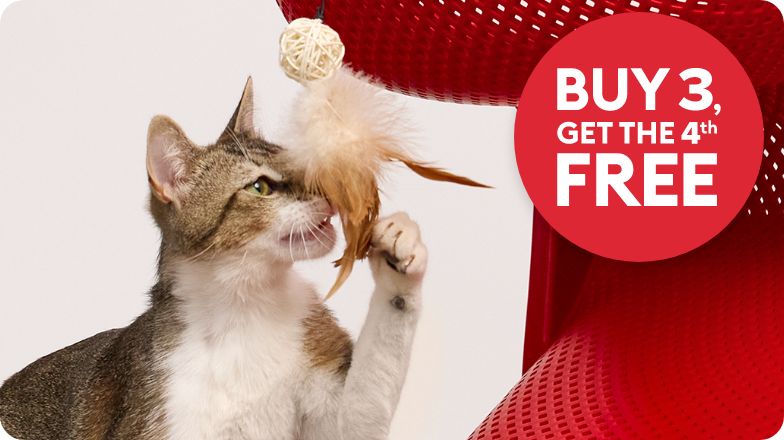 Buy 3, get the 4th free callout and a cat playing with a teaser toy