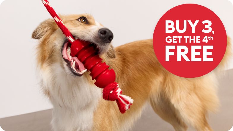 Buy 3, get the 4th free callout and a dog playing with a rope toy