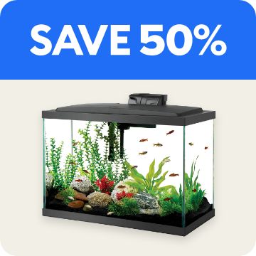 SAVE 50% text; open glass aquarium