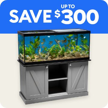 SAVE UP TO $300 text; aquatic ensemble 