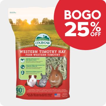 BOGO 50% OFF text; small pet hay