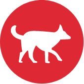 Icon of a dog walking