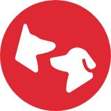 Icon of two dogs