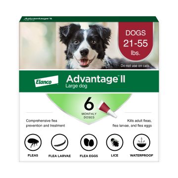 Advantage dog medicine best sale