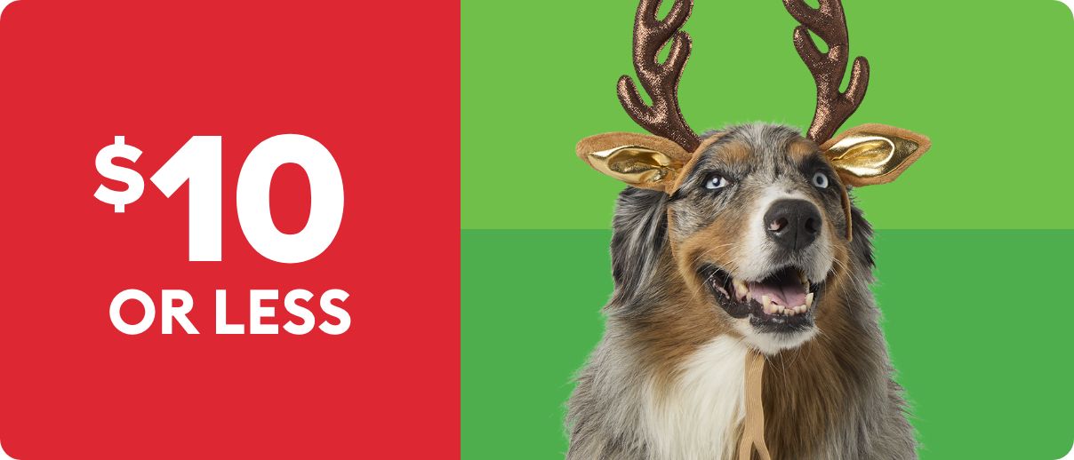 Dog in antlers; $10 or less text