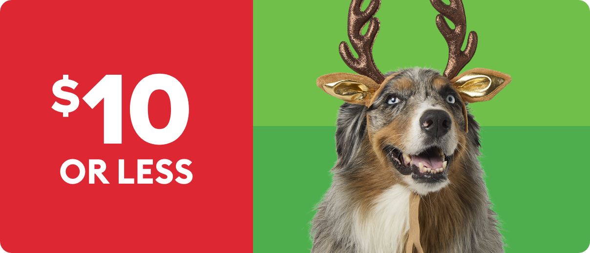 Dog in antlers; $10 or less text