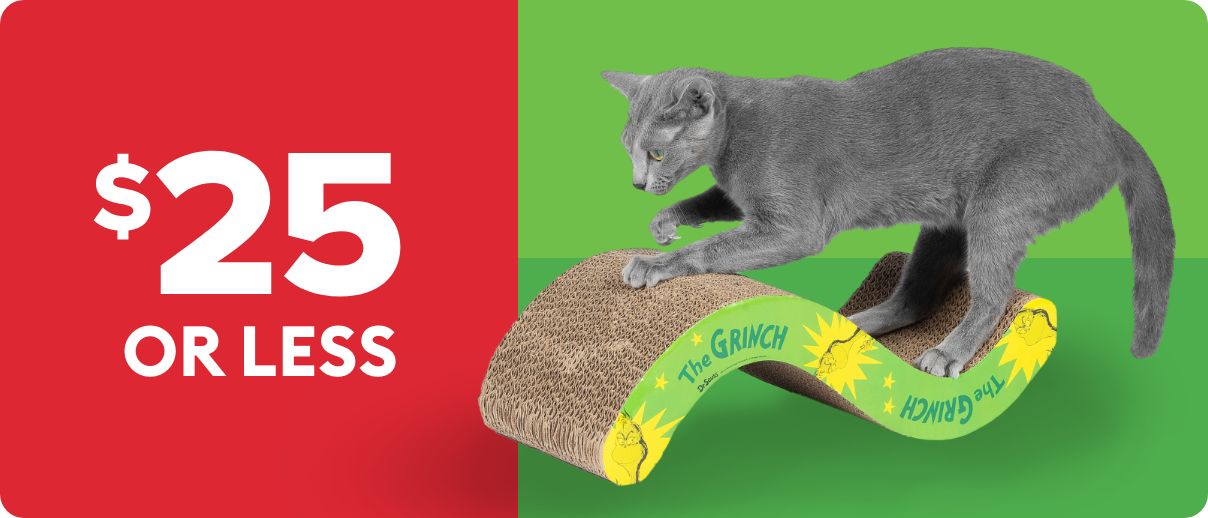 Cat on festive cat scratcher; $25 or less text