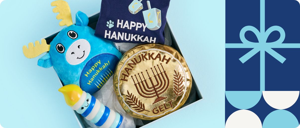 Hanukkah treats and accessories