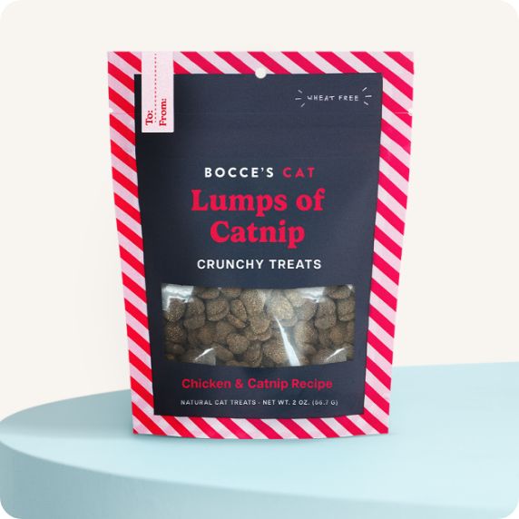 Seasonal cat treats