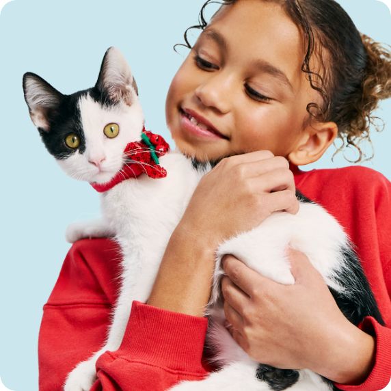 Young girl holding cat with festive collar