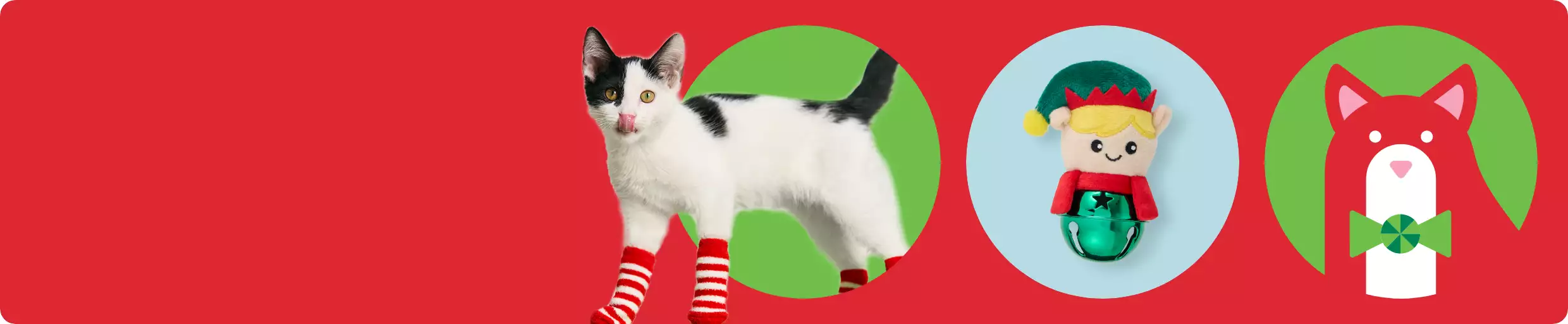 White cat with red and white striped socks