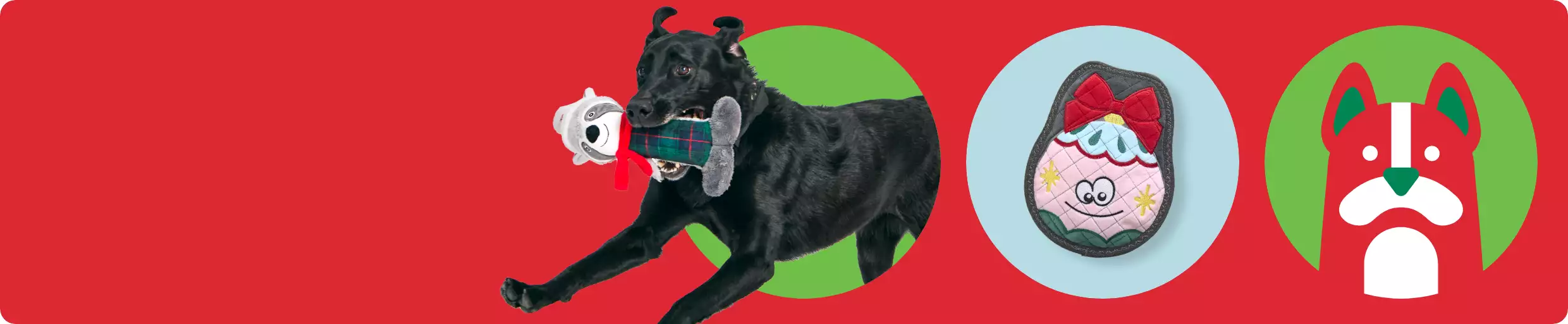 Large dog holding candy cane shaped chew; dog treat; illustration of dog against playful holiday background