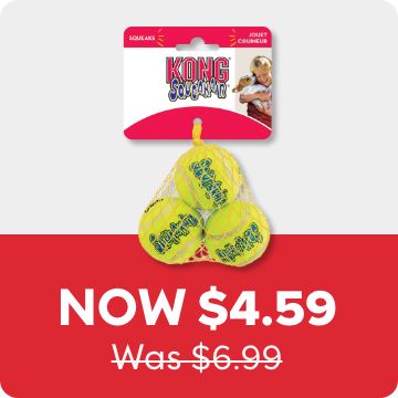 Now $4.59 Was $6.99 price callout and a KONG dog toy