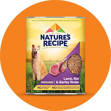 Petsmart nature's recipe hotsell