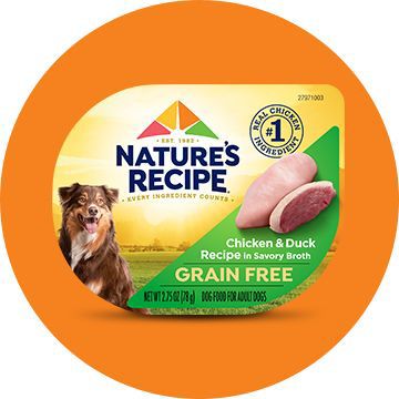 Featured Brands Natures Recipe PetSmart