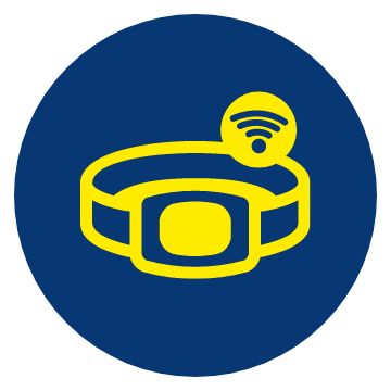 dog remote trainer icon