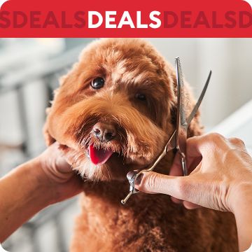 Dog getting a hair cut, deals callout