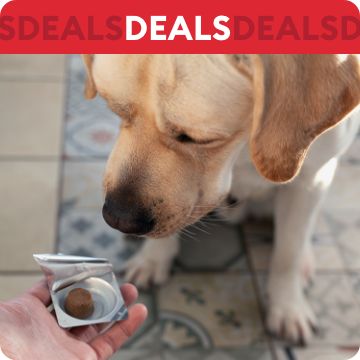 Flea & tick product