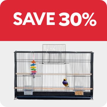 Bird Supplies for Pet Parakeets Parrots More PetSmart