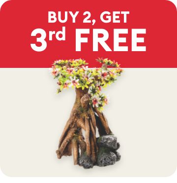 Buy 2, get the 3rd FREE