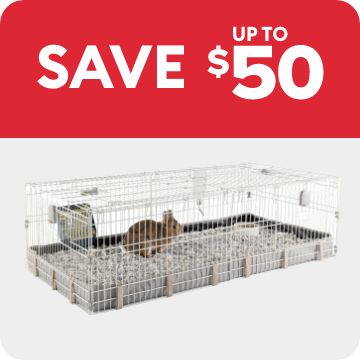 SAVE up to $50