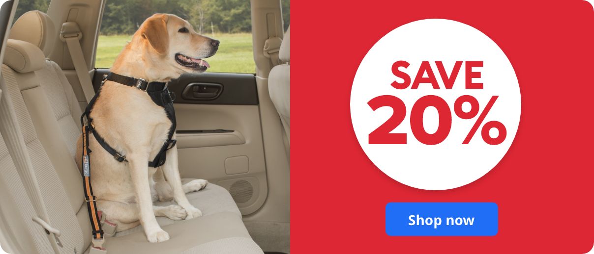 Save 20% callout, shop now button and a dog wearing a safety harness in a car