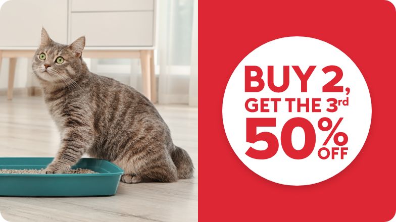 Buy litter box best sale